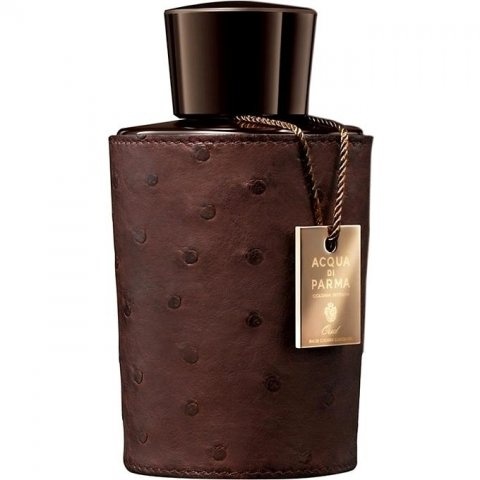 Colonia Intensa Oud Special Edition 2013 от Acqua di Parma — похожий аромат